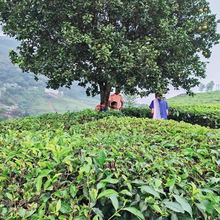 Munnar Tent Hills Resort ديفيكولام المظهر الخارجي الصورة