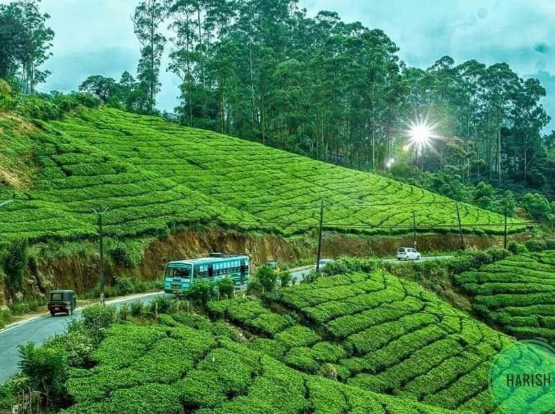 Munnar Tent Hills Resort ديفيكولام المظهر الخارجي الصورة