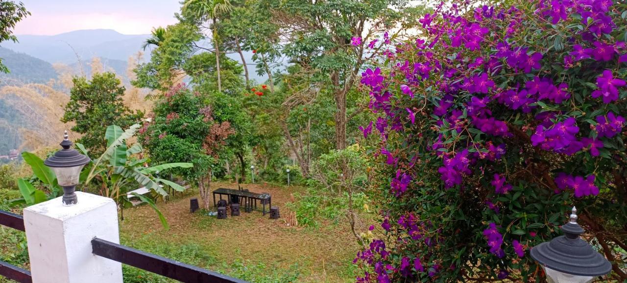Munnar Tent Hills Resort ديفيكولام المظهر الخارجي الصورة