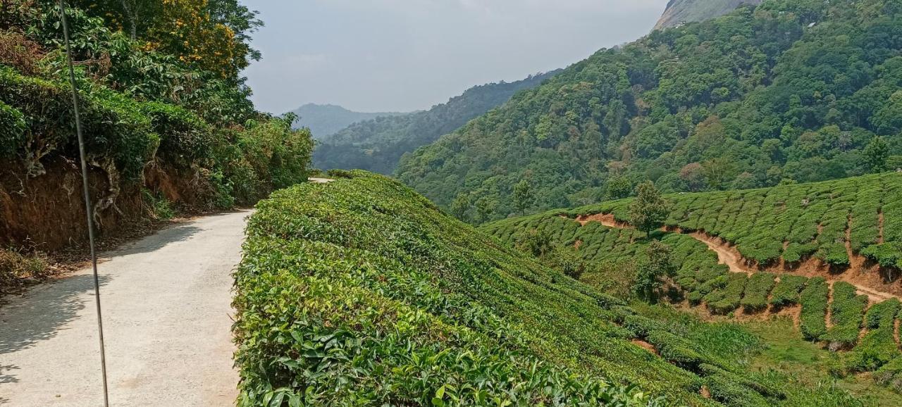 Munnar Tent Hills Resort ديفيكولام المظهر الخارجي الصورة
